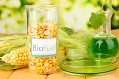 Brongest biofuel availability