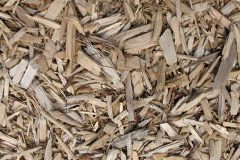 biomass boilers Brongest